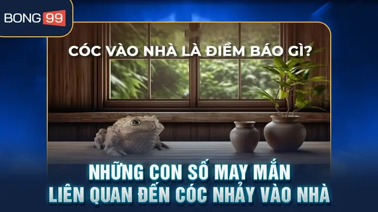 Con số may mắn cóc nhảy vào nhà