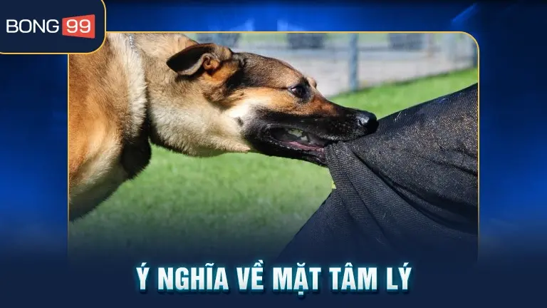mơ thấy chó cắn 2 Ý nghĩa tâm lý giấc mơ chó cắn