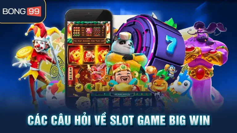 slot game big win 5 Câu hỏi về slot game big win