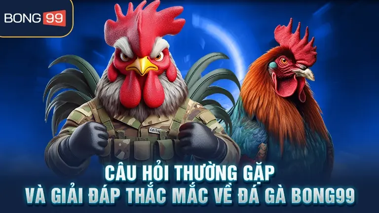 Câu hỏi giải đáp đá gà BONG99