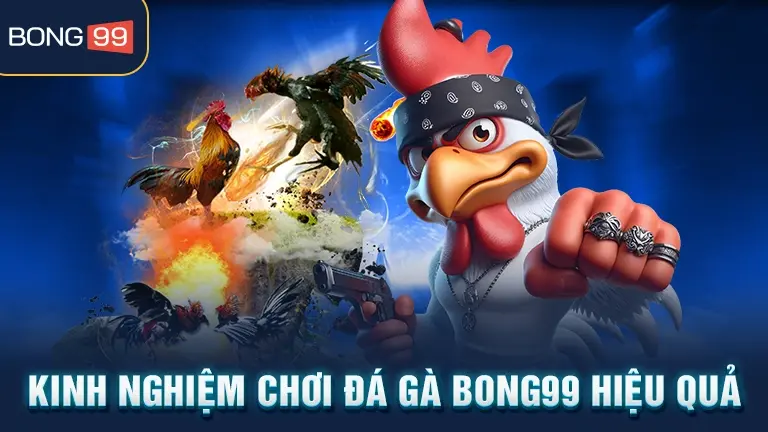 Kinh nghiệm chơi đá gà BONG99